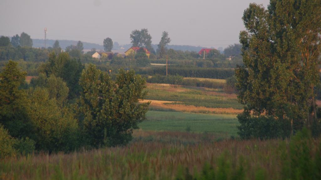 Bed and Breakfast Dwor Na Wichrowym Wzgorzu Przybysławice Exteriér fotografie
