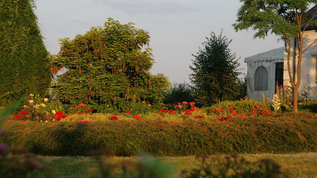Bed and Breakfast Dwor Na Wichrowym Wzgorzu Przybysławice Exteriér fotografie