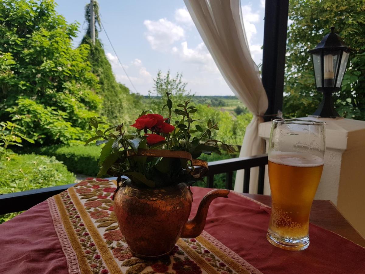Bed and Breakfast Dwor Na Wichrowym Wzgorzu Przybysławice Exteriér fotografie